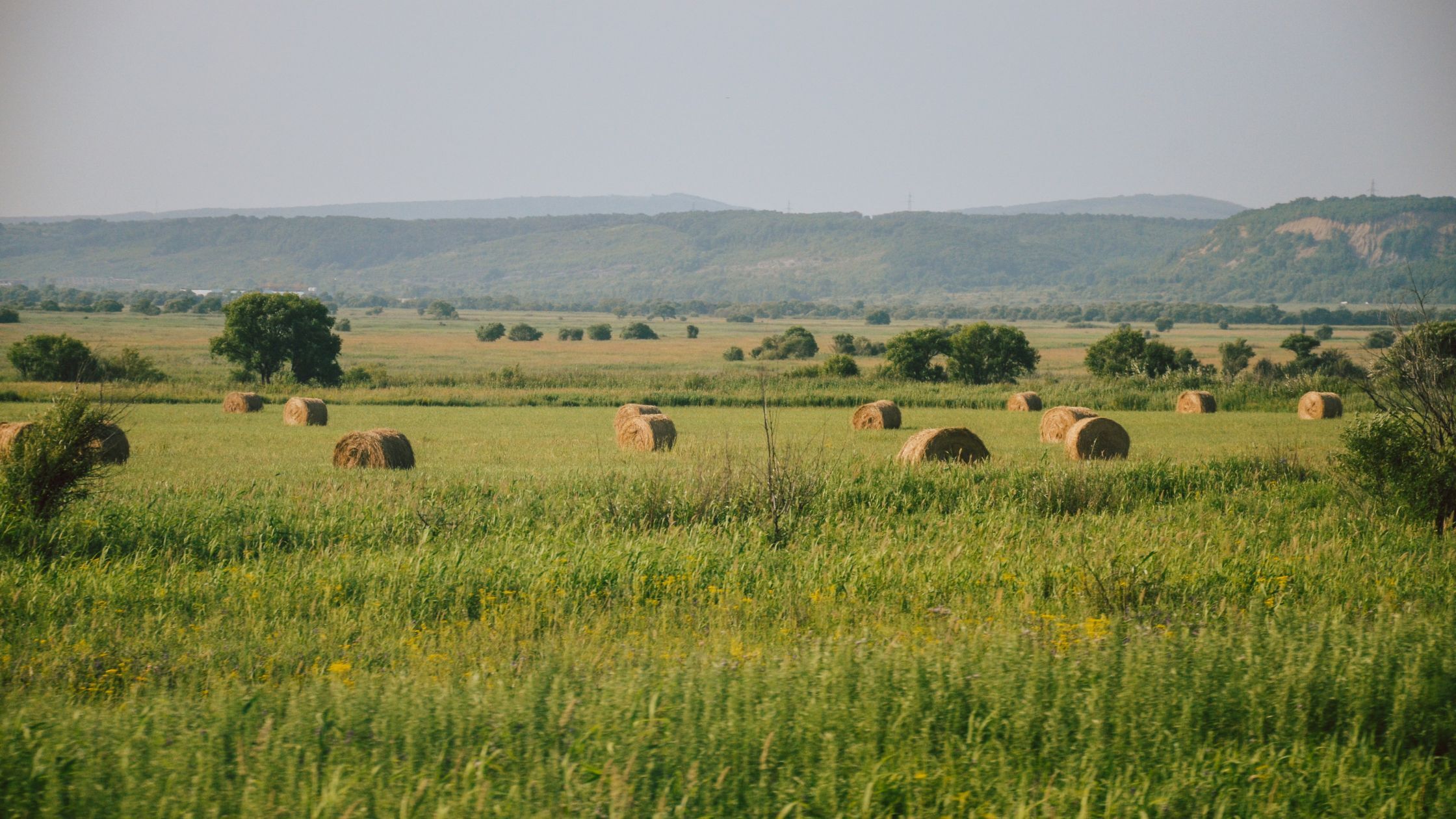 A wide countryside landscape showing round hay bales across a green field, surrounded by trees and distant wooded hills.